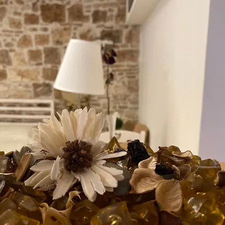 Casa Erika Bed & Breakfast *